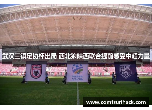 武汉三镇足协杯出局 西北狼陕西联合提前感受中超力量